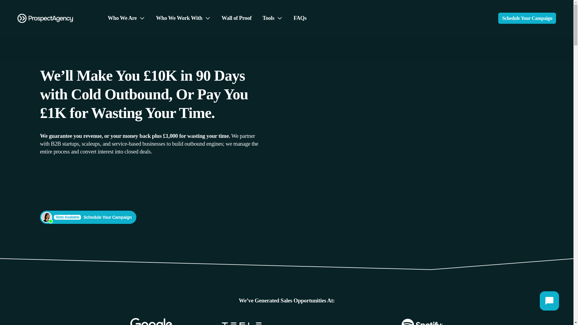 website screenshot of https://entelixa.info/