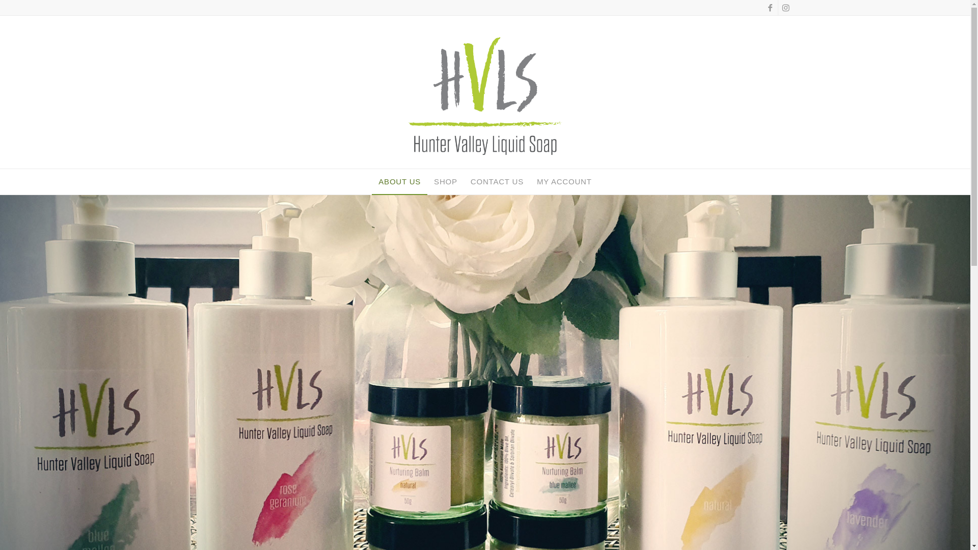 website screenshot of https://huntervalleyliquidsoap.online/