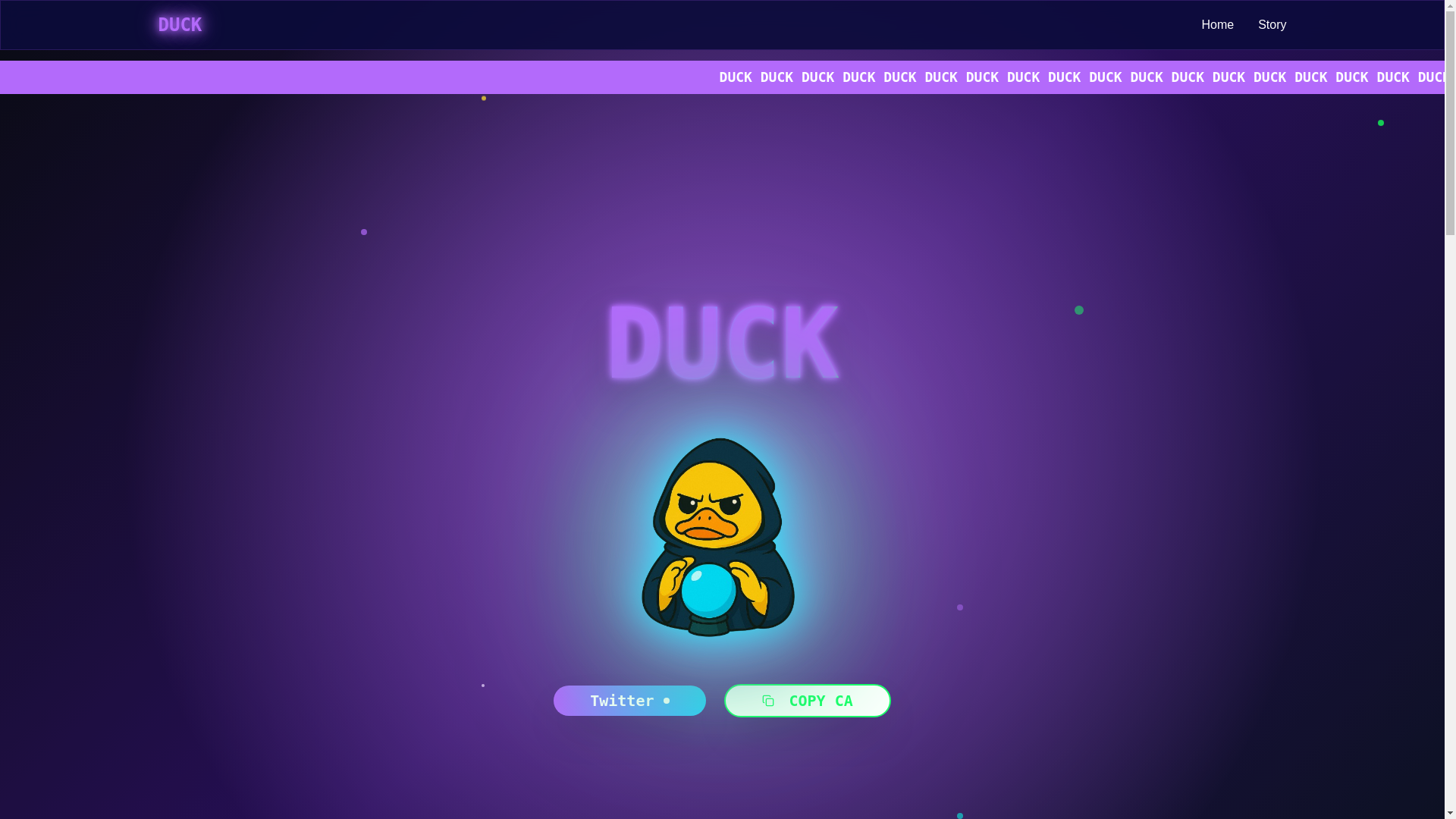 website screenshot of https://duckquack.xyz/