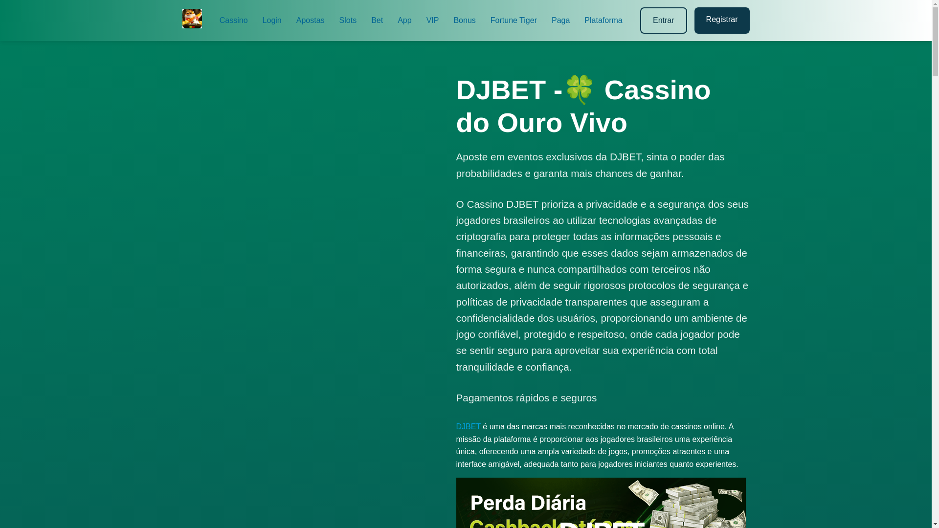 website screenshot of https://djbet-navi.com/