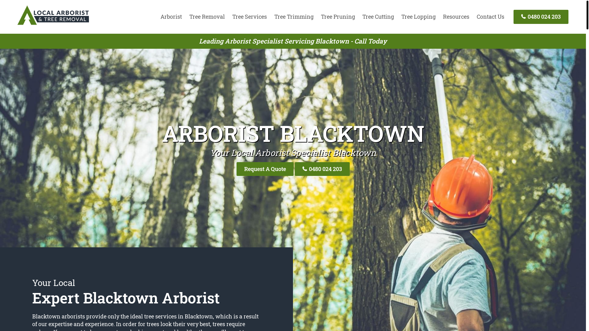 website screenshot of https://blacktowntreetrimming-com-au.pages.dev/