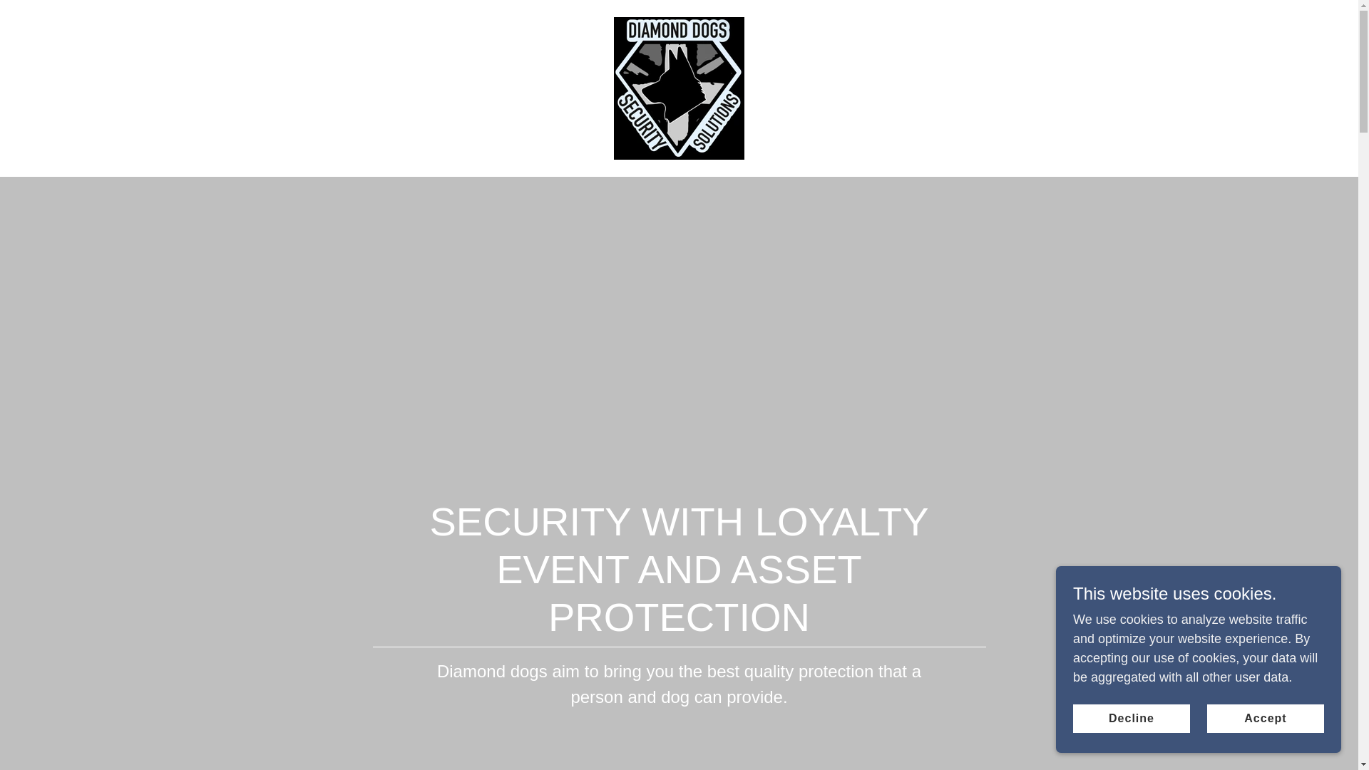 website screenshot of https://ddss-ltd.com/