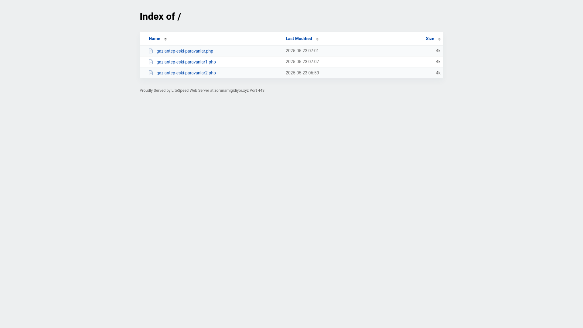 website screenshot of https://zorunamigidiyor.xyz/