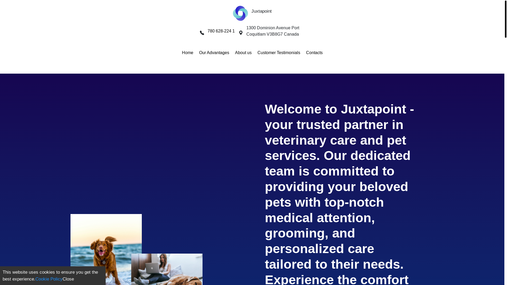 website screenshot of https://adviserdeeptech.com/
