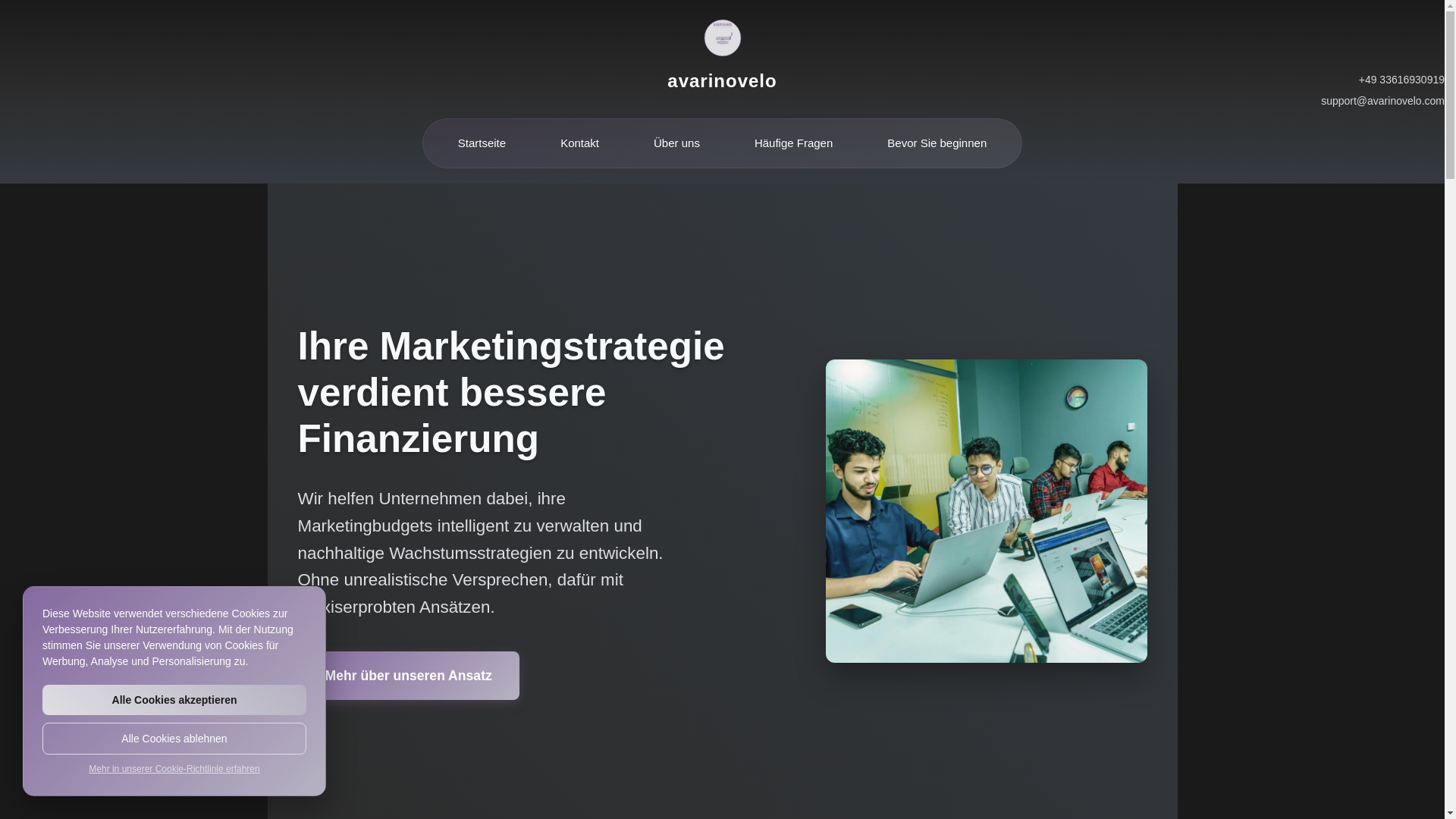 website screenshot of https://avarinovelo.com