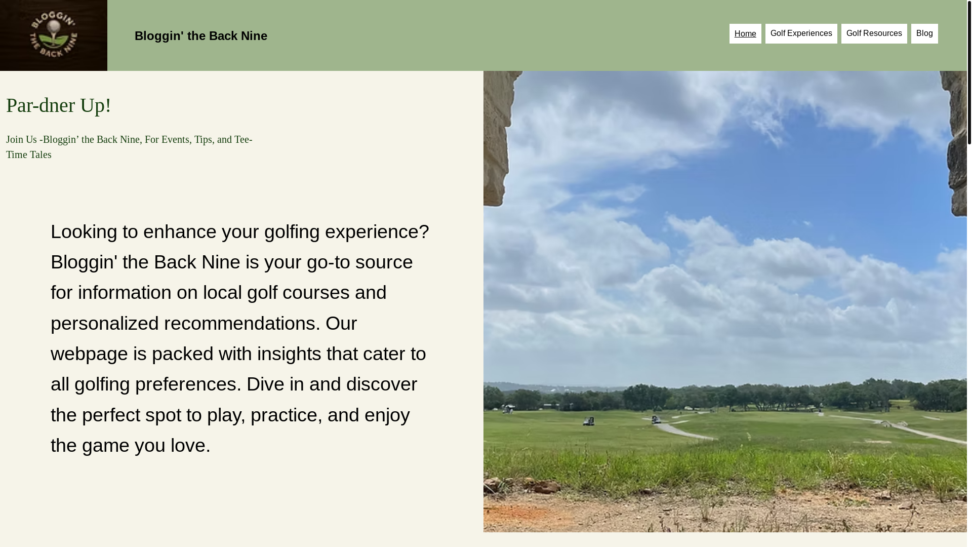 website screenshot of https://blogginbacknine.com/