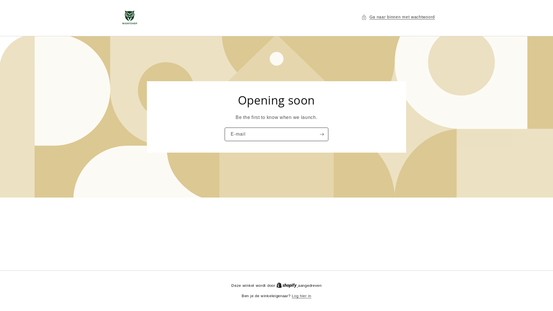 website screenshot of https://vsnightshop.nl/