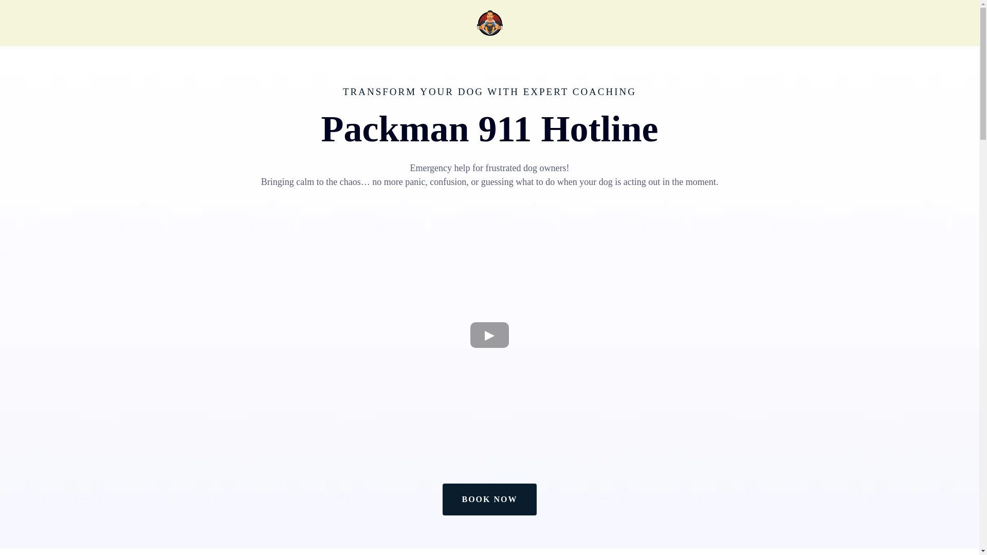 website screenshot of https://packmanhotline.com/
