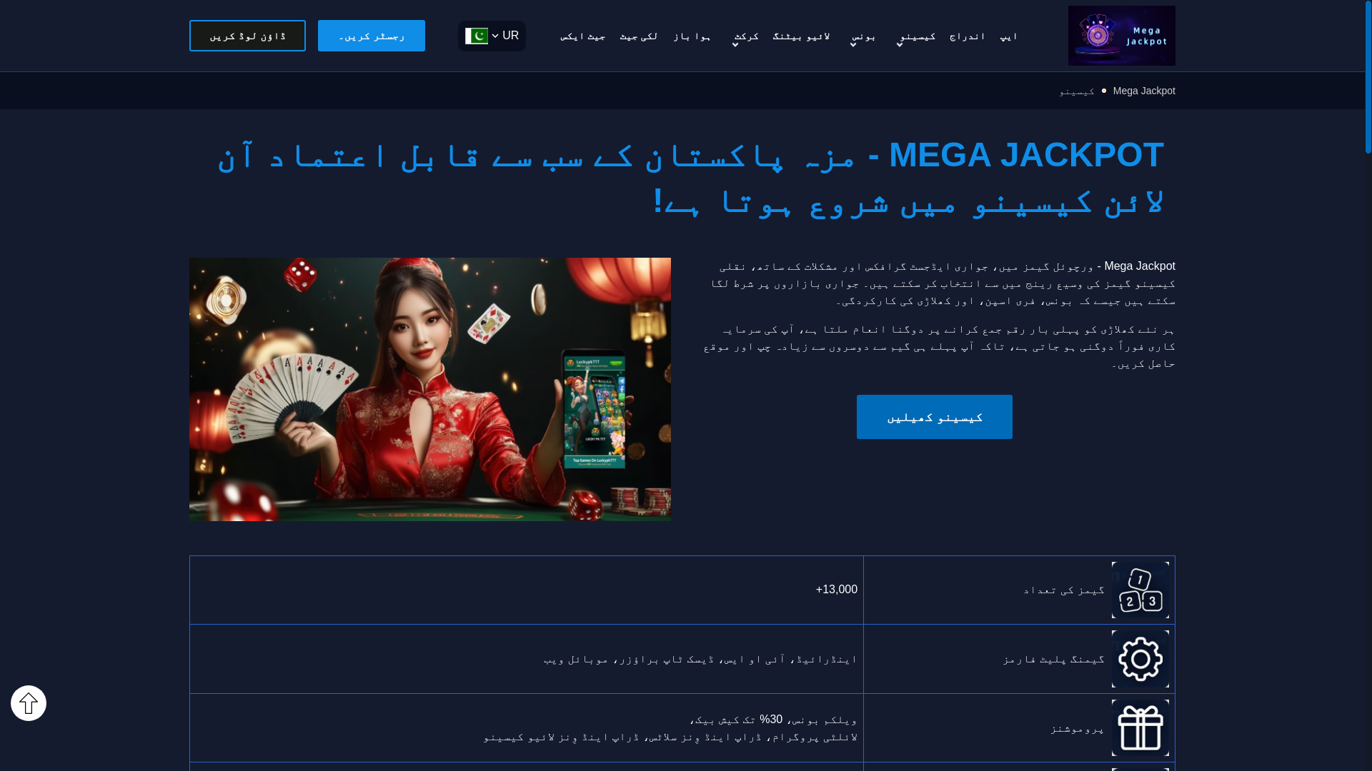 website screenshot of https://pk-megajackpot.com/