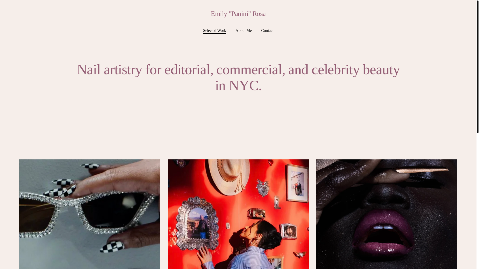 website screenshot of https://panininyc.com/