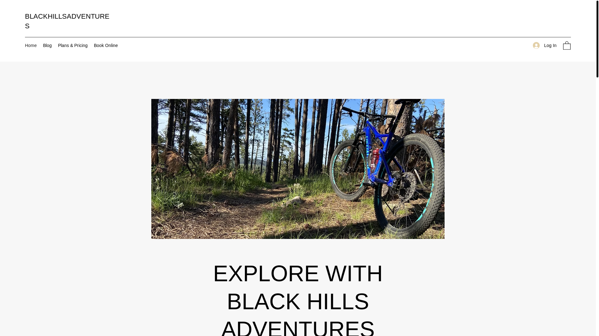 website screenshot of https://roofwy.com/