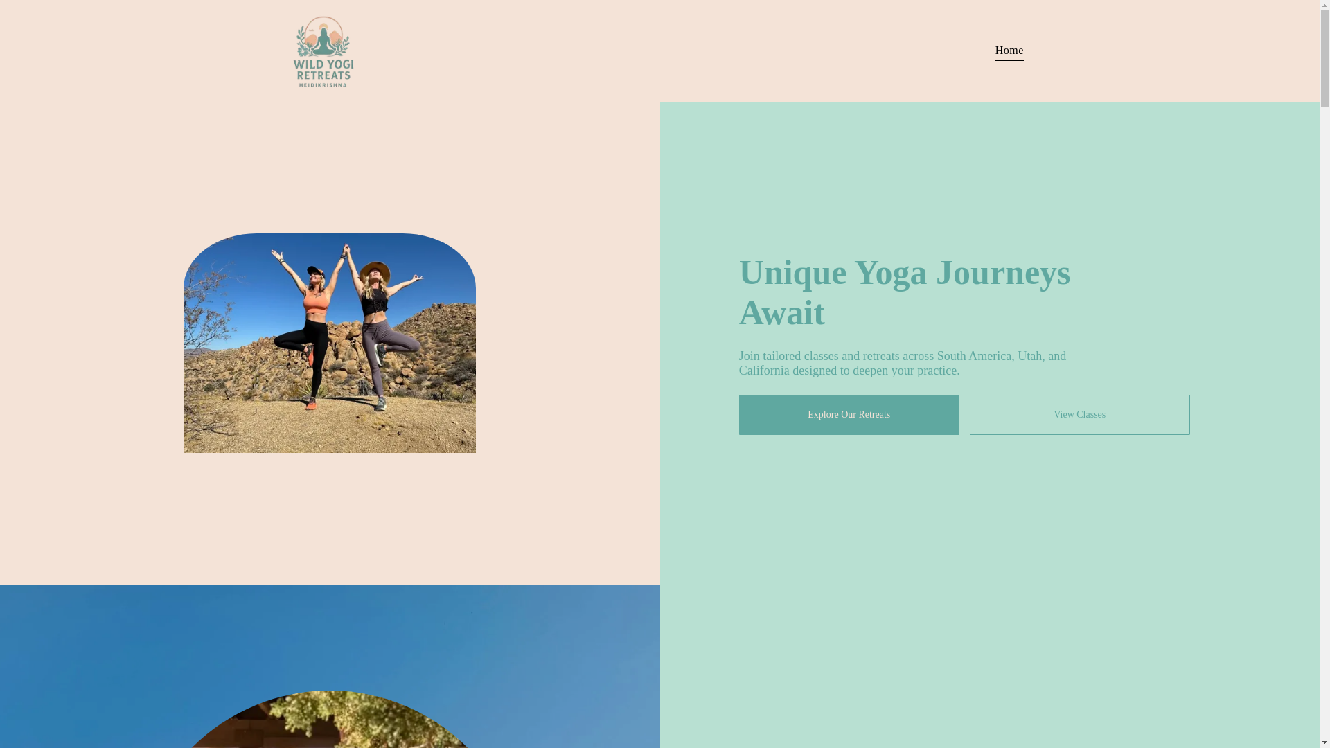 website screenshot of https://heidikrishna.com/