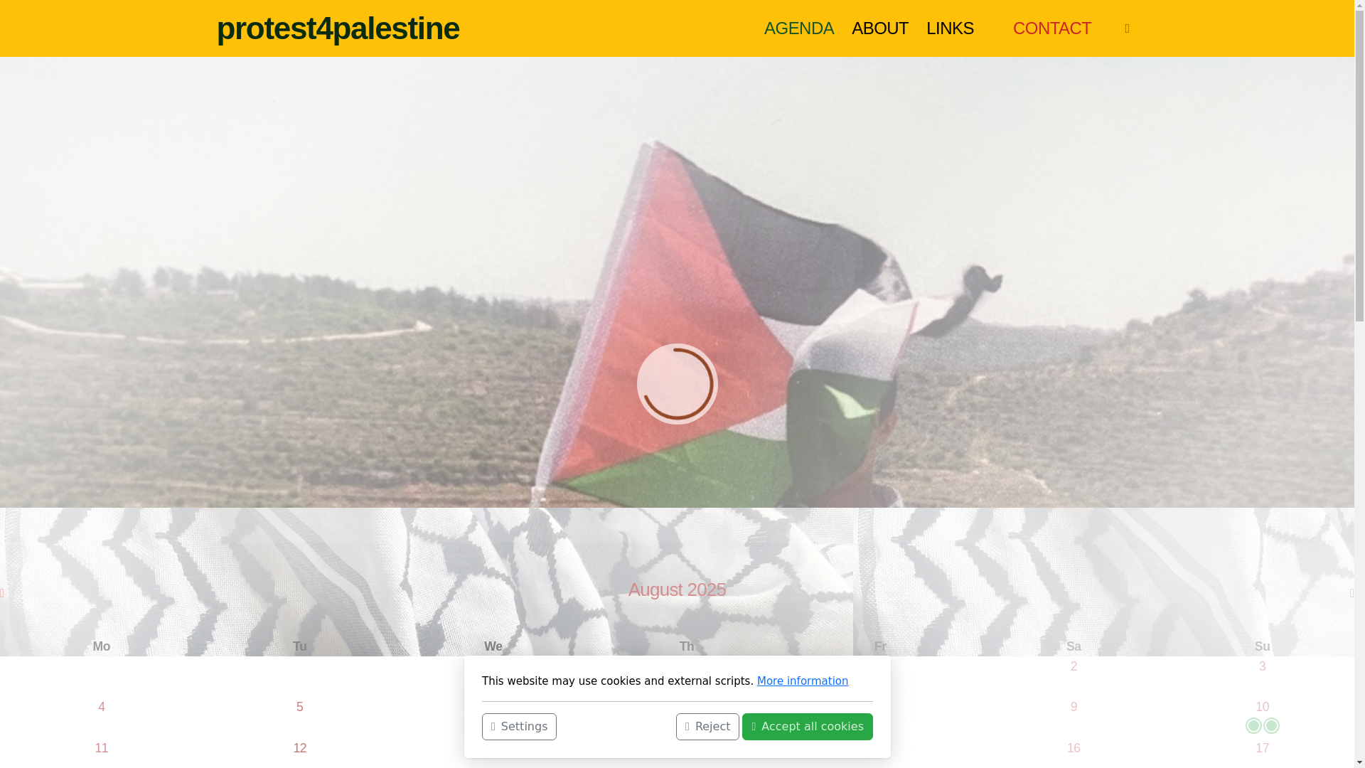 website screenshot of https://protest4palestine.ch/