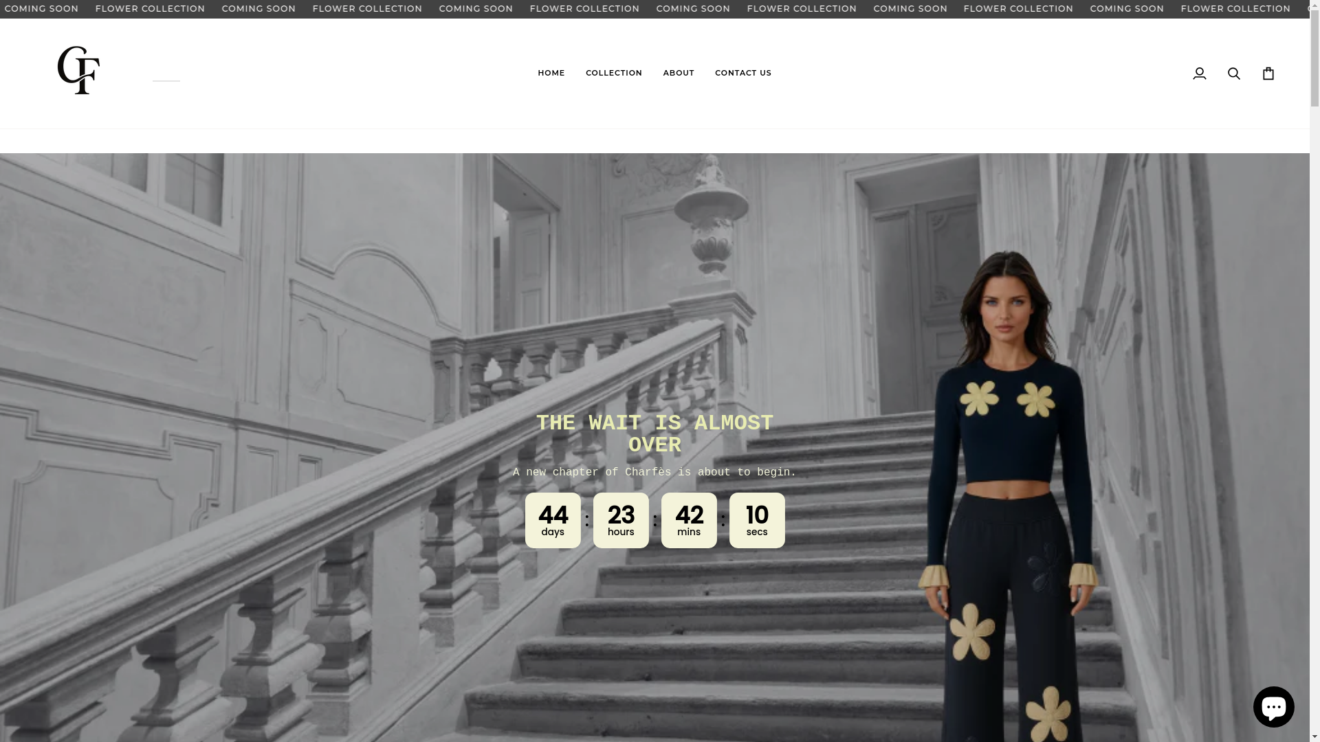 website screenshot of https://charfes.com/