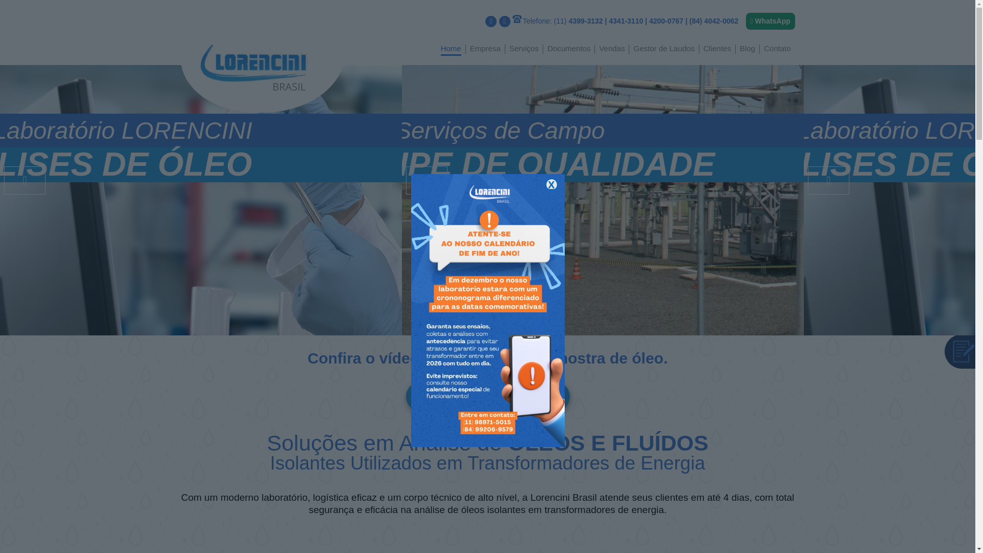 website screenshot of https://lorencini.com.br