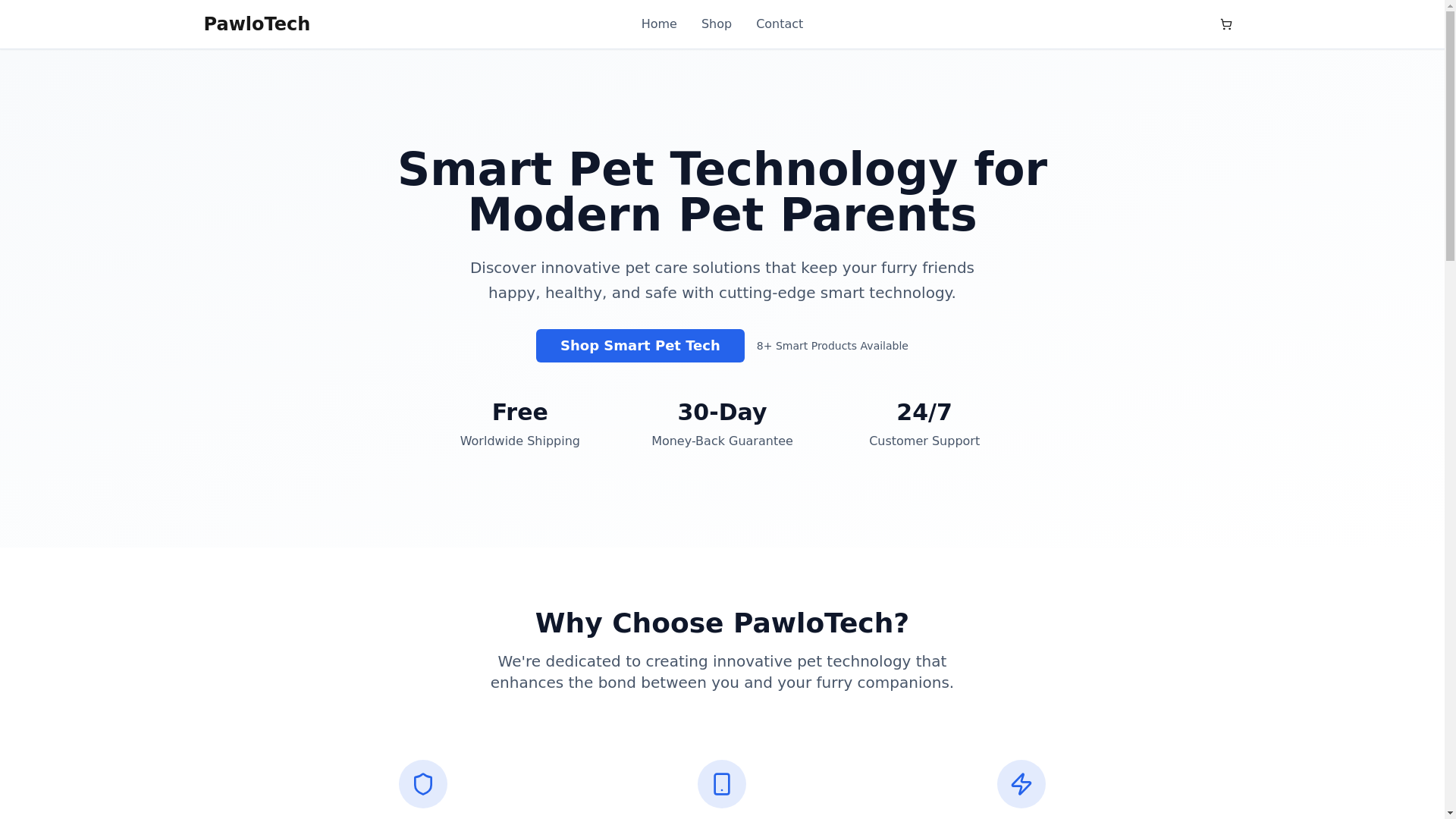 website screenshot of https://pawlotech.store/