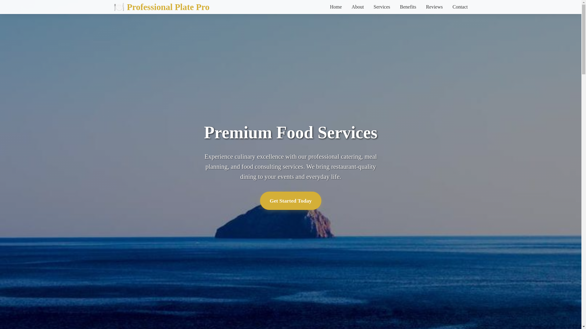 website screenshot of https://professionalplatepro.digital/