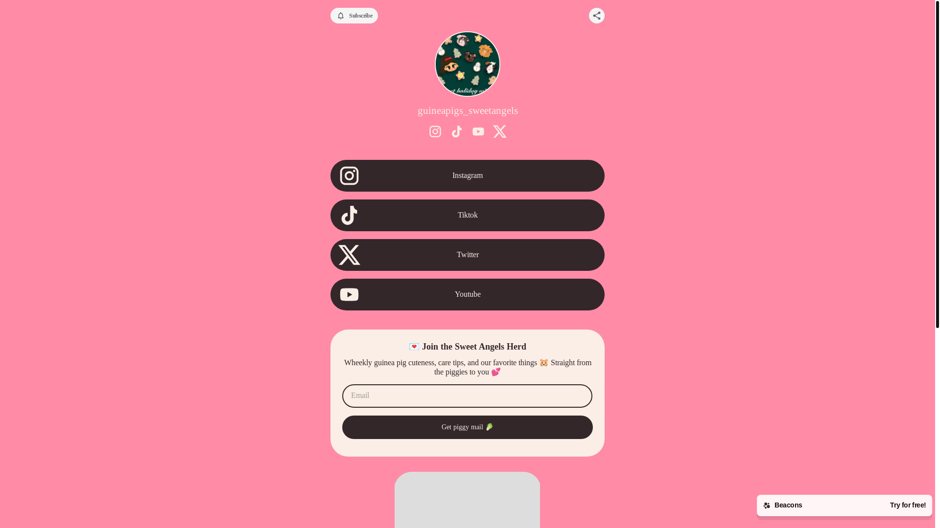 website screenshot of https://guineapigssweetangels.com/