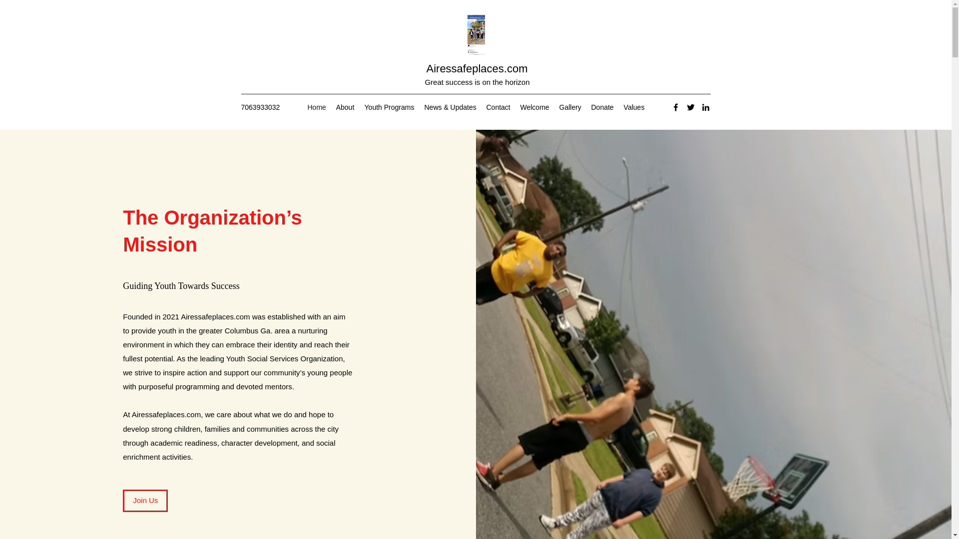 website screenshot of https://airesfoundation.org/