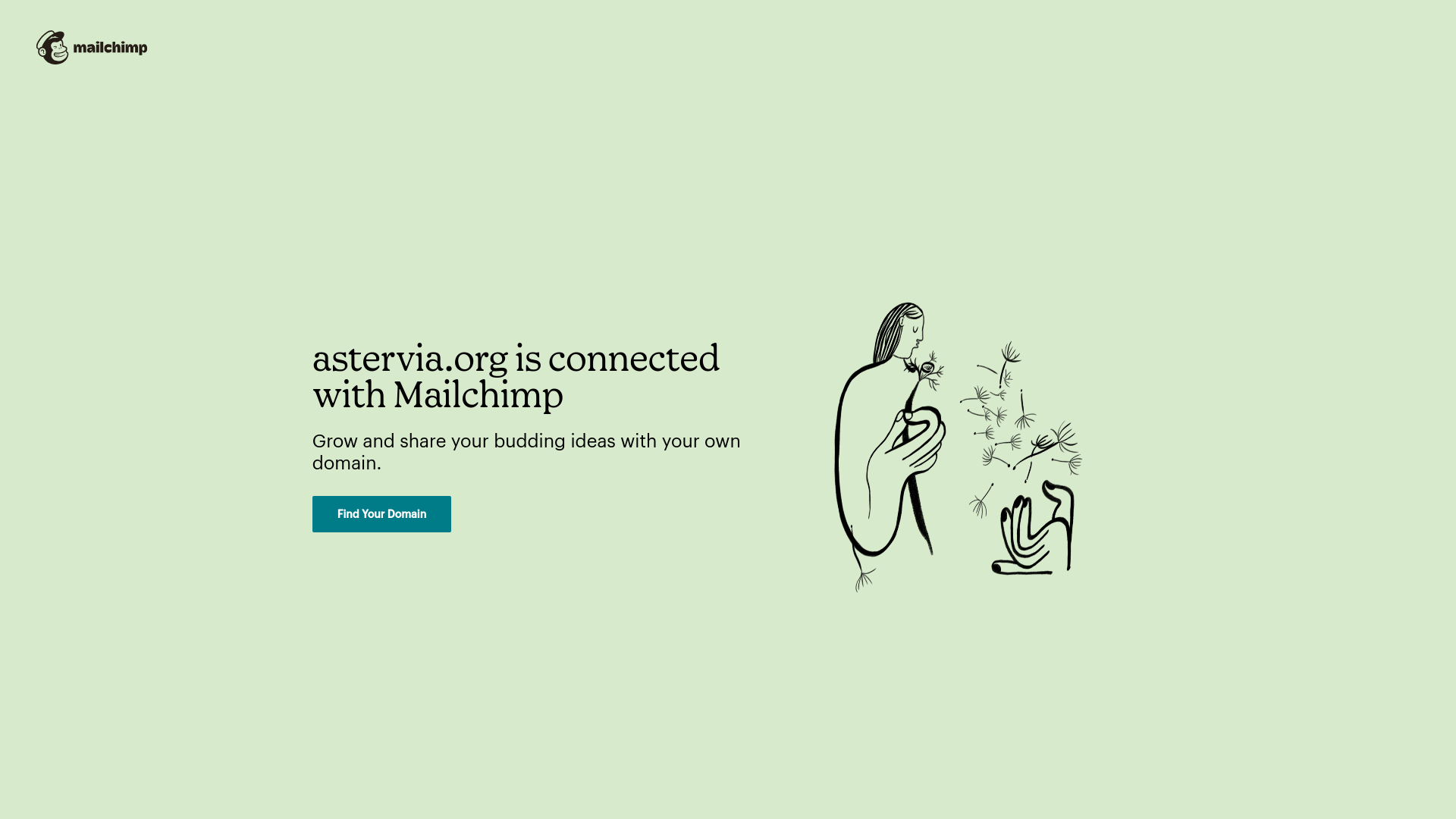 website screenshot of https://astervia.org/