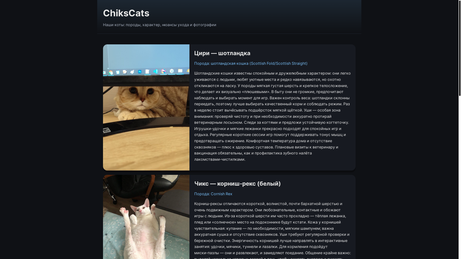 website screenshot of https://chikscats.ru/