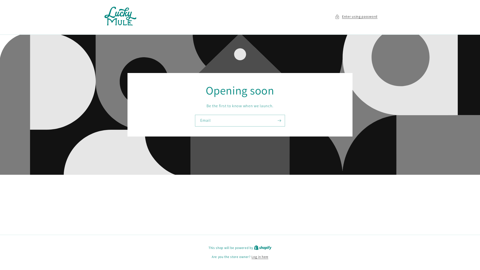 website screenshot of https://shopluckymule.com/