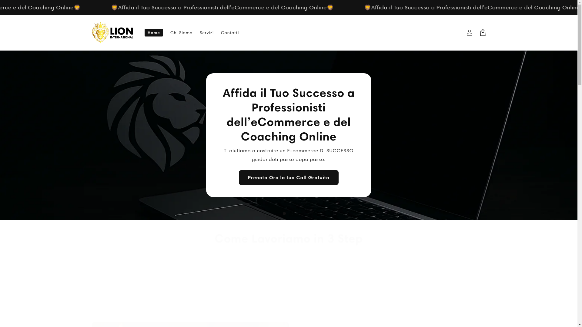website screenshot of https://lioninternationalweb.com/