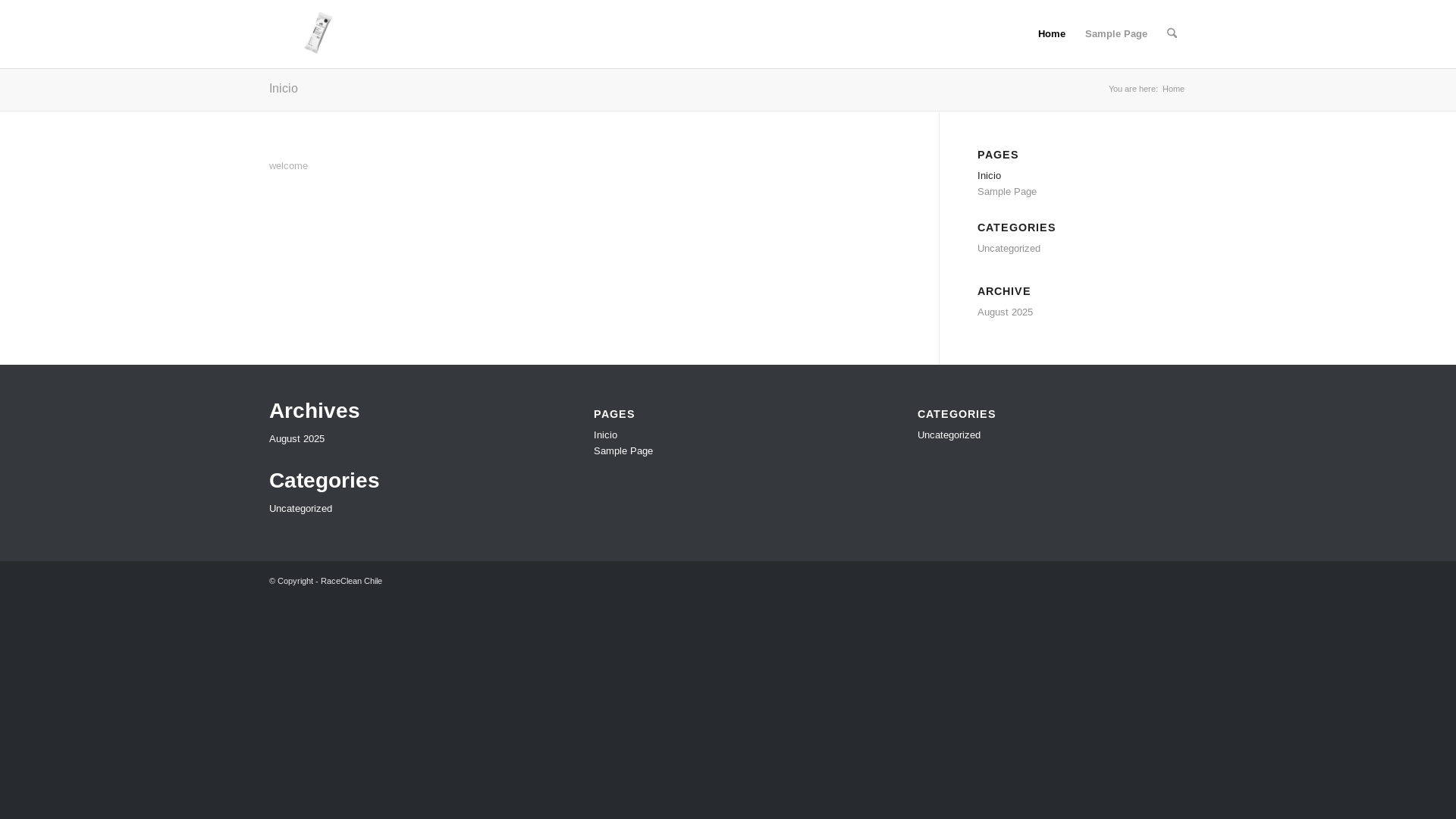 website screenshot of https://raceclean.cl/