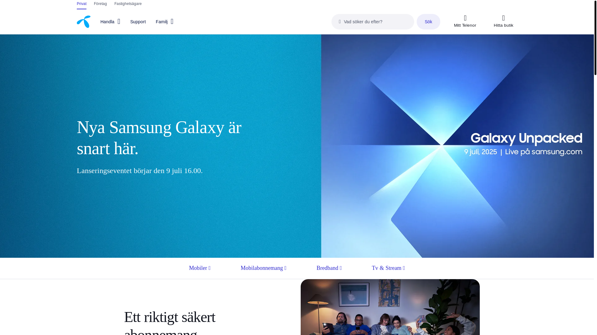 website screenshot of https://www.telenor.se/