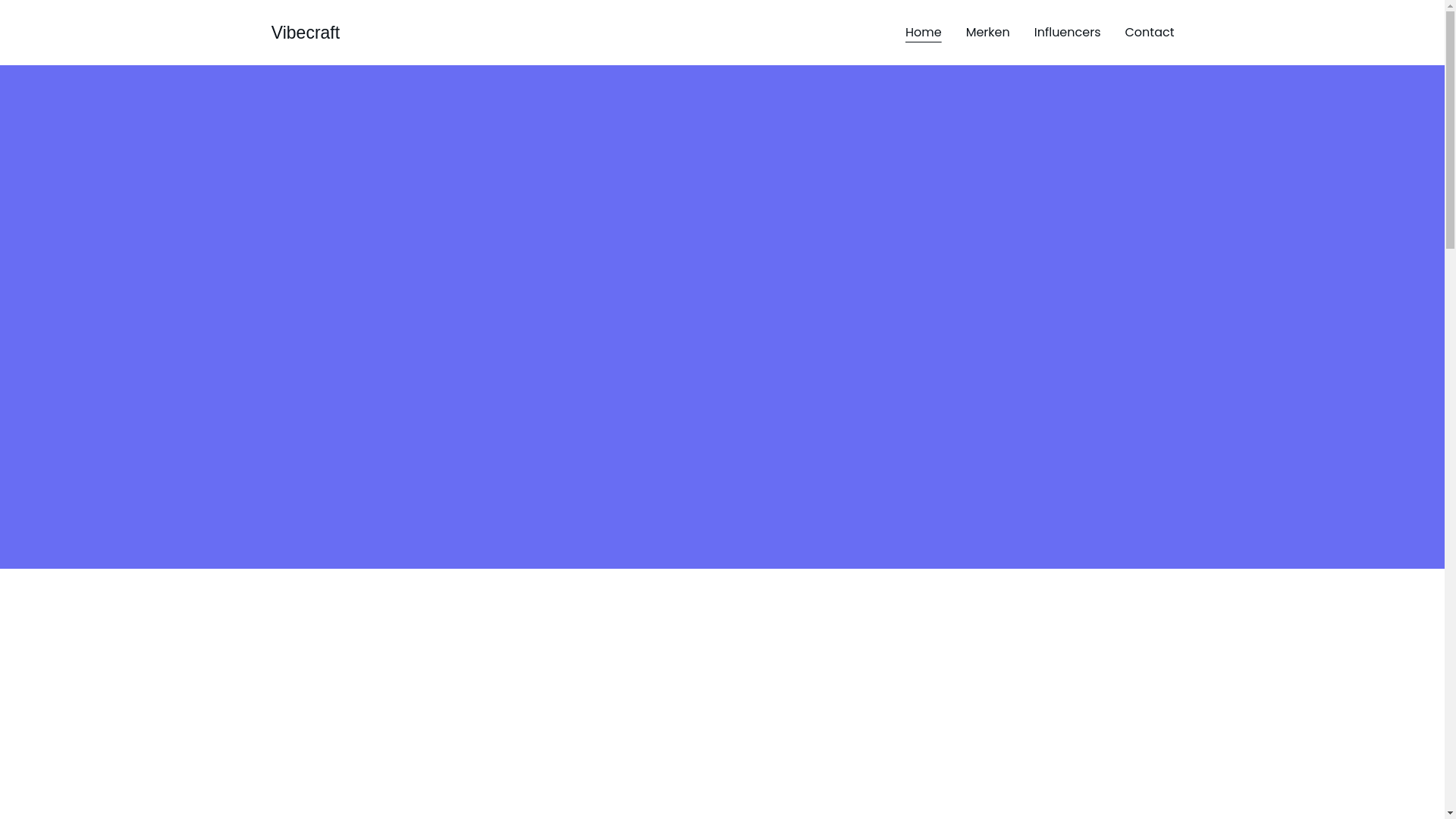 website screenshot of https://vibecraftagency.nl/