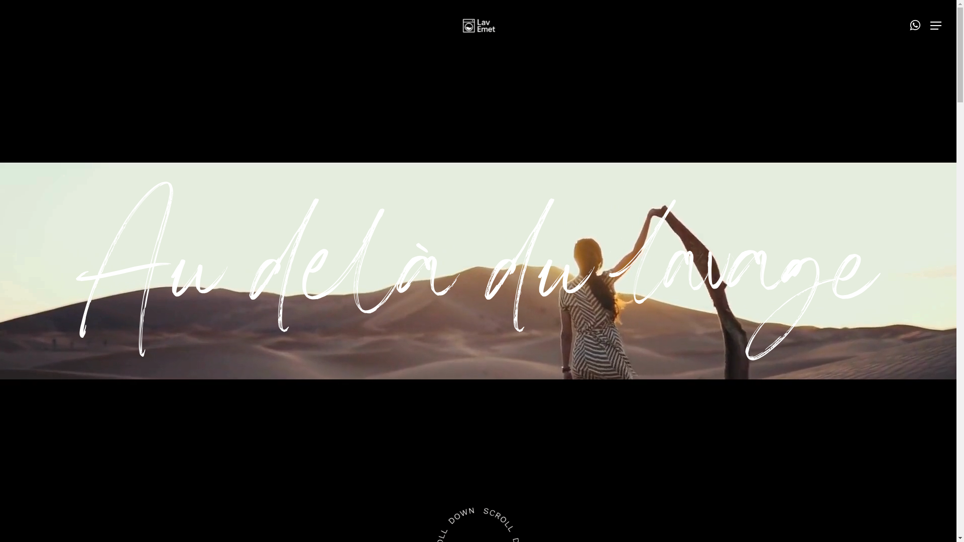 website screenshot of https://lavemet.fr/