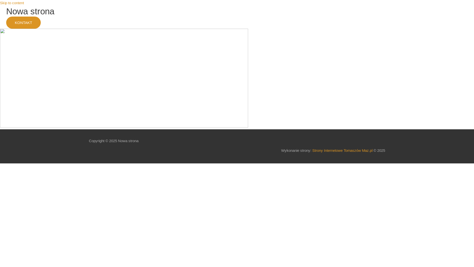 website screenshot of https://kajakowyraj.pl/