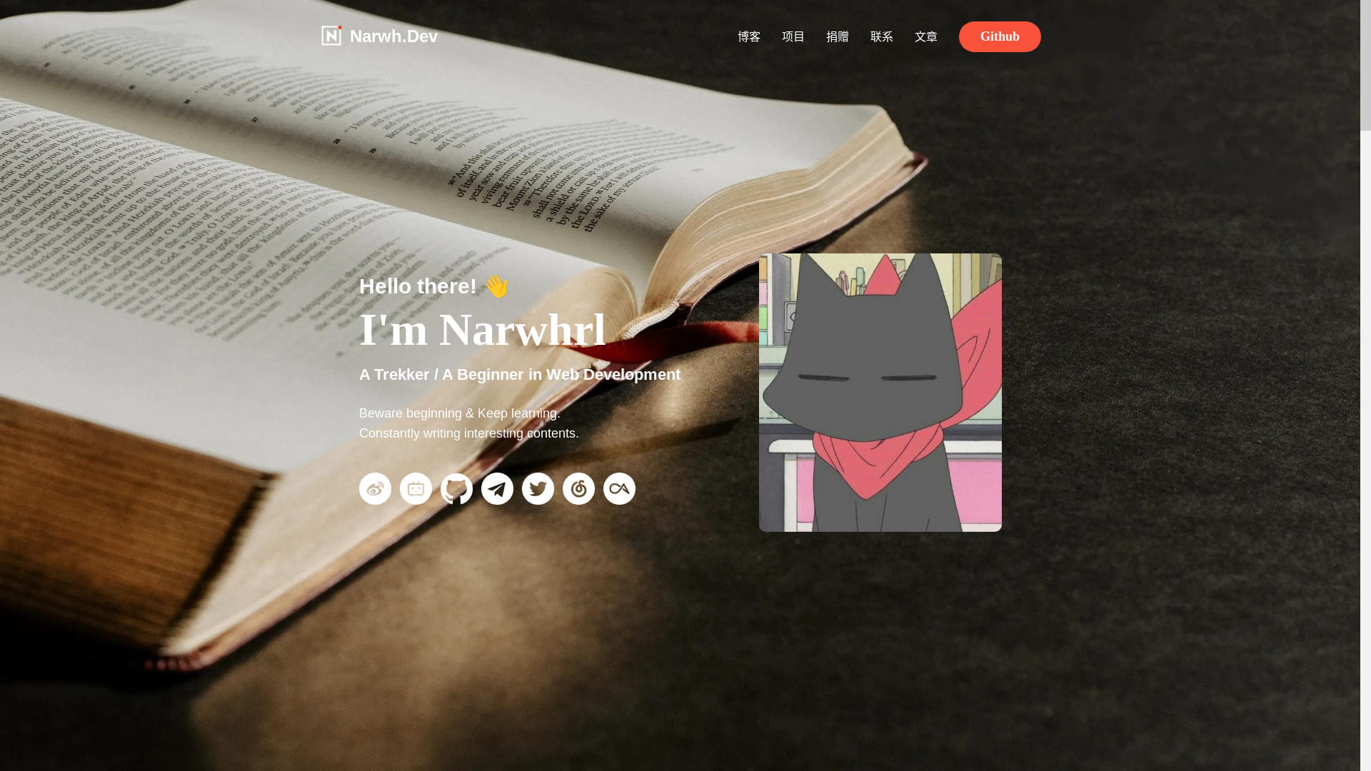 website screenshot of https://narwh.dev