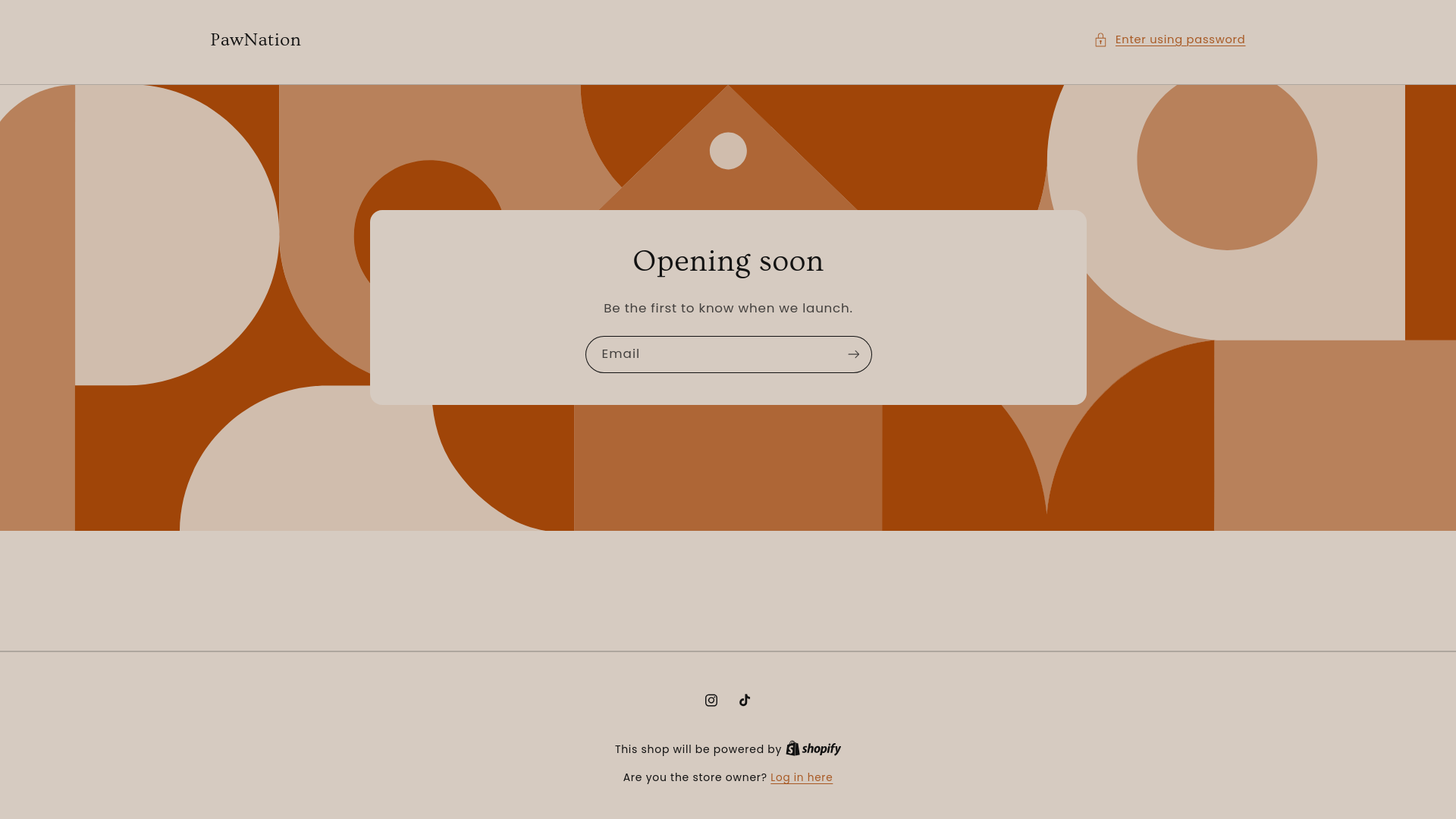 website screenshot of https://thepawnation.store/