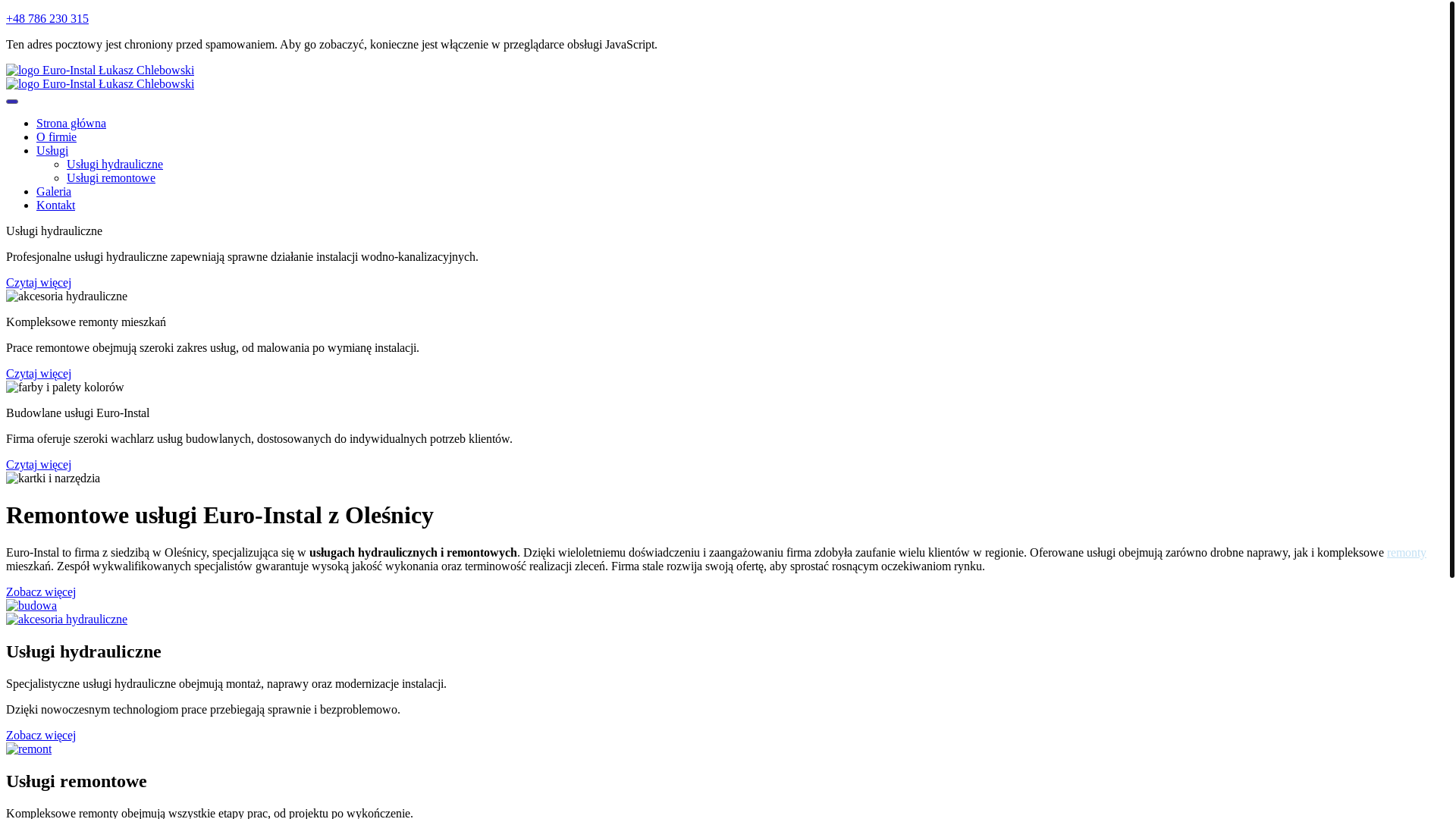 website screenshot of https://euroinstalacje.eu/