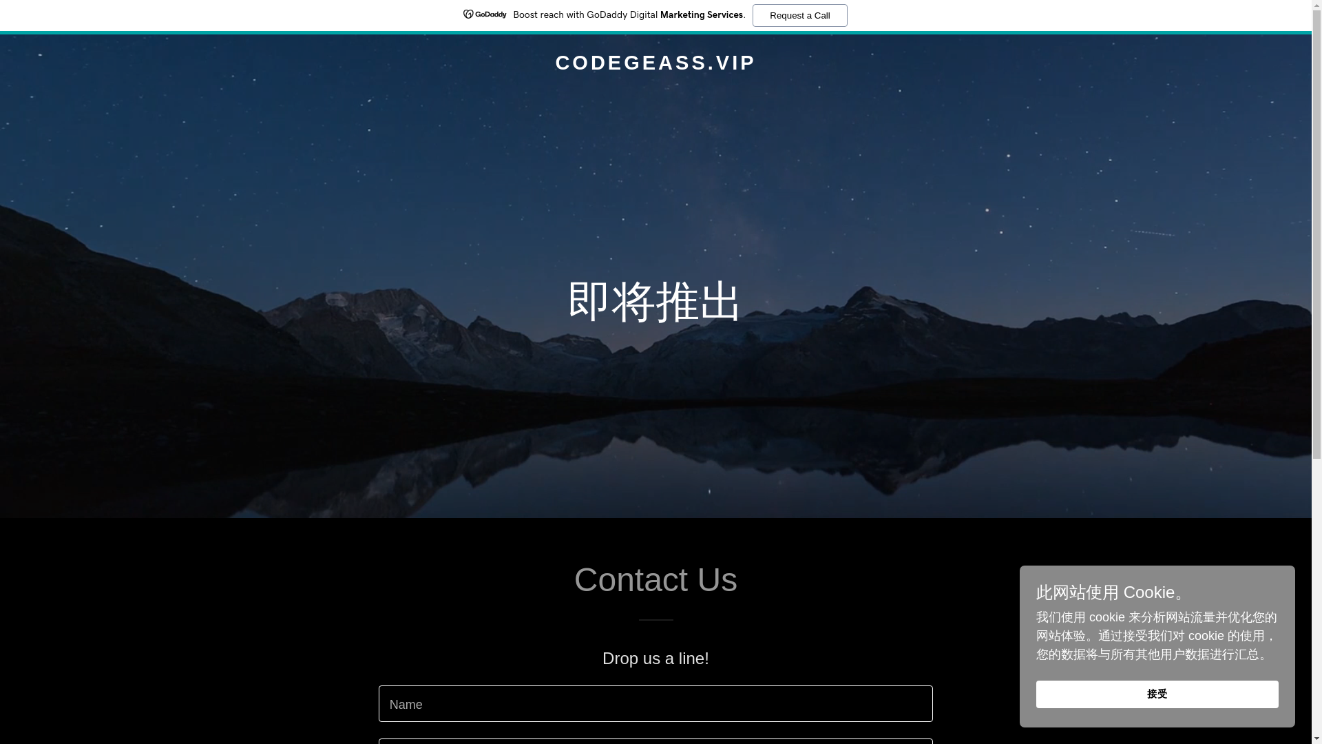 website screenshot of https://codegeass.vip/