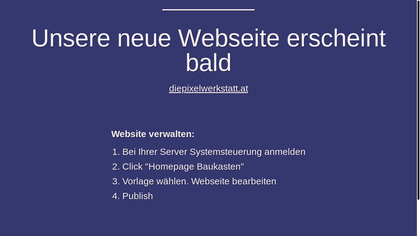 website screenshot of https://diepixelwerkstatt.at/