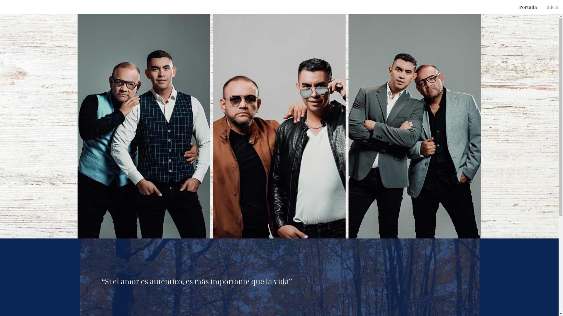 website screenshot of https://joseluisyrafaelnuestraboda.com/