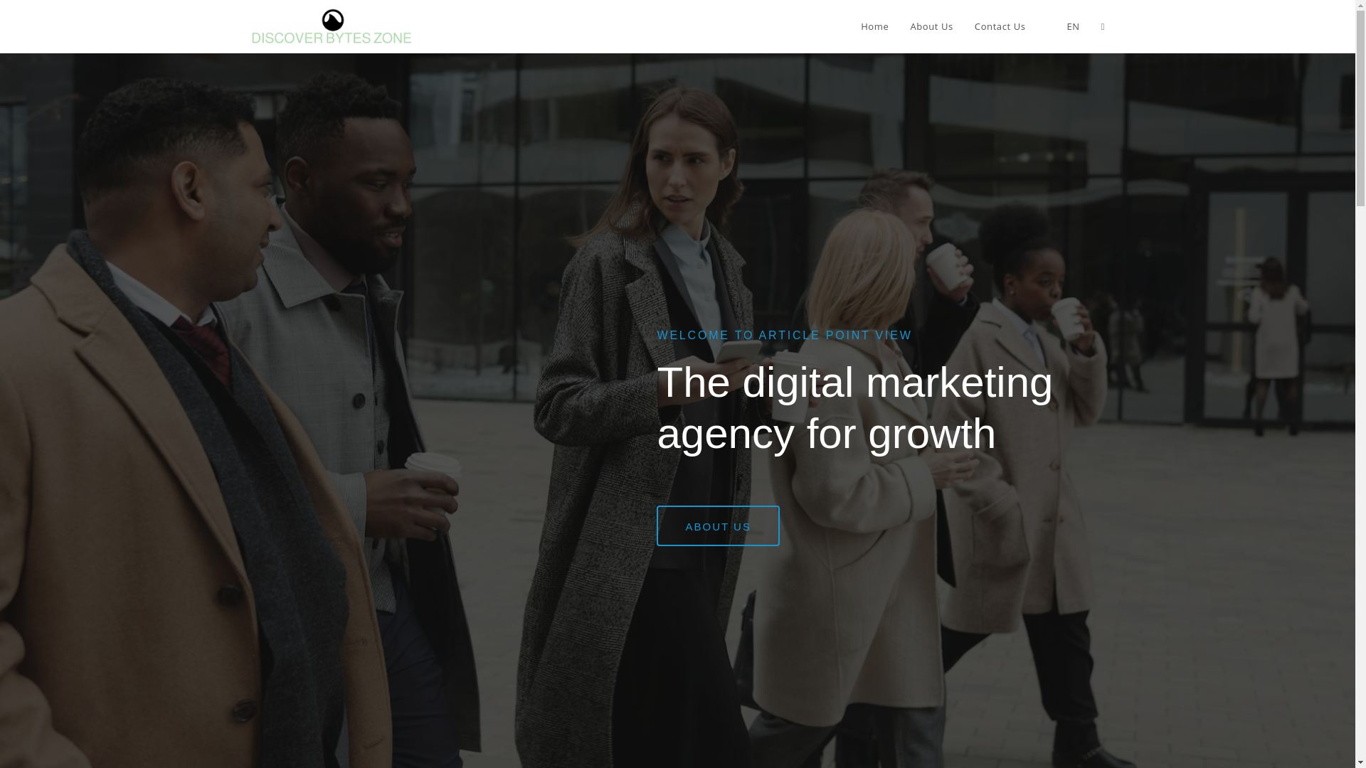 website screenshot of https://articlepointview.com/