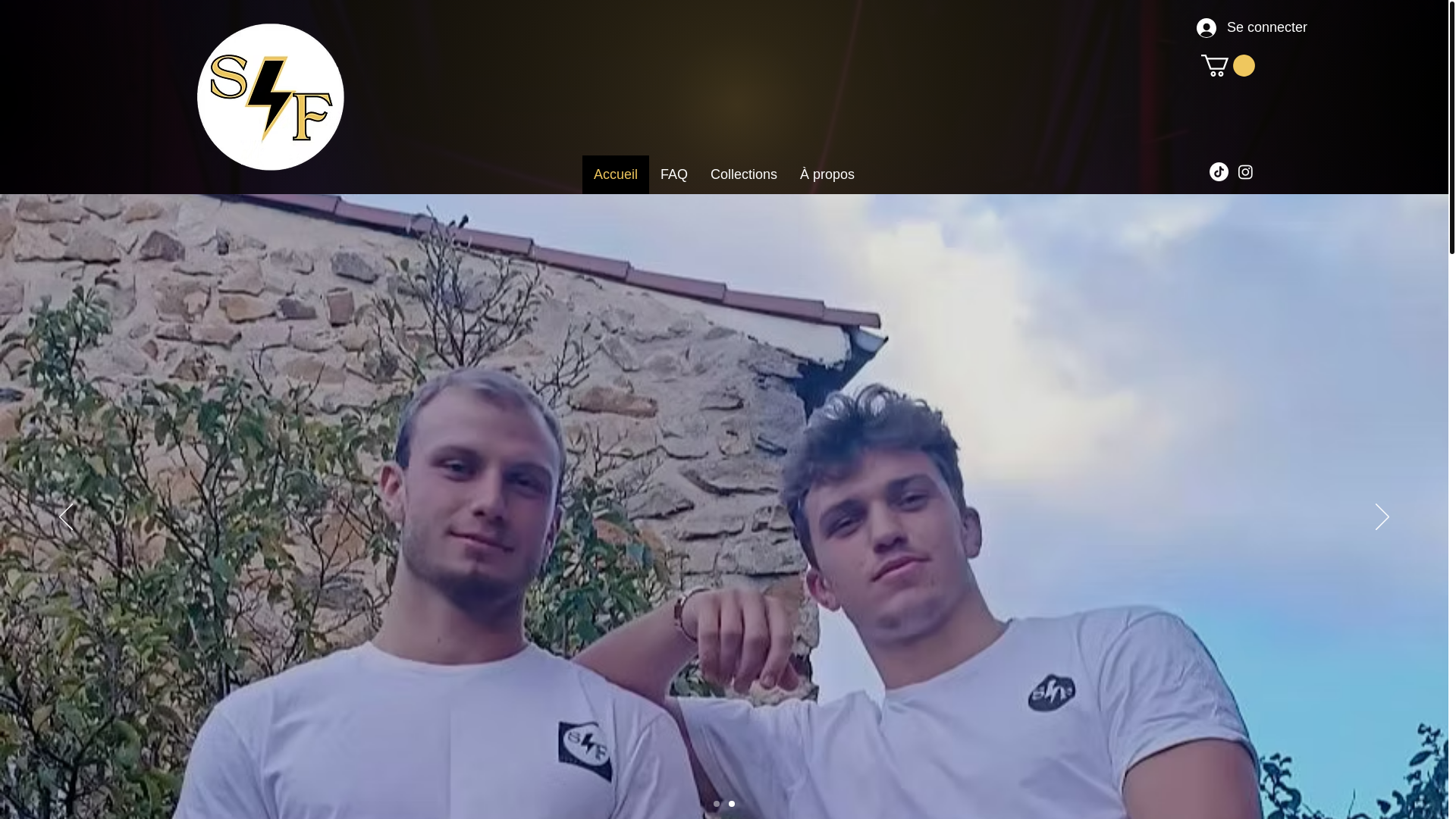 website screenshot of https://stormfactory.fr/