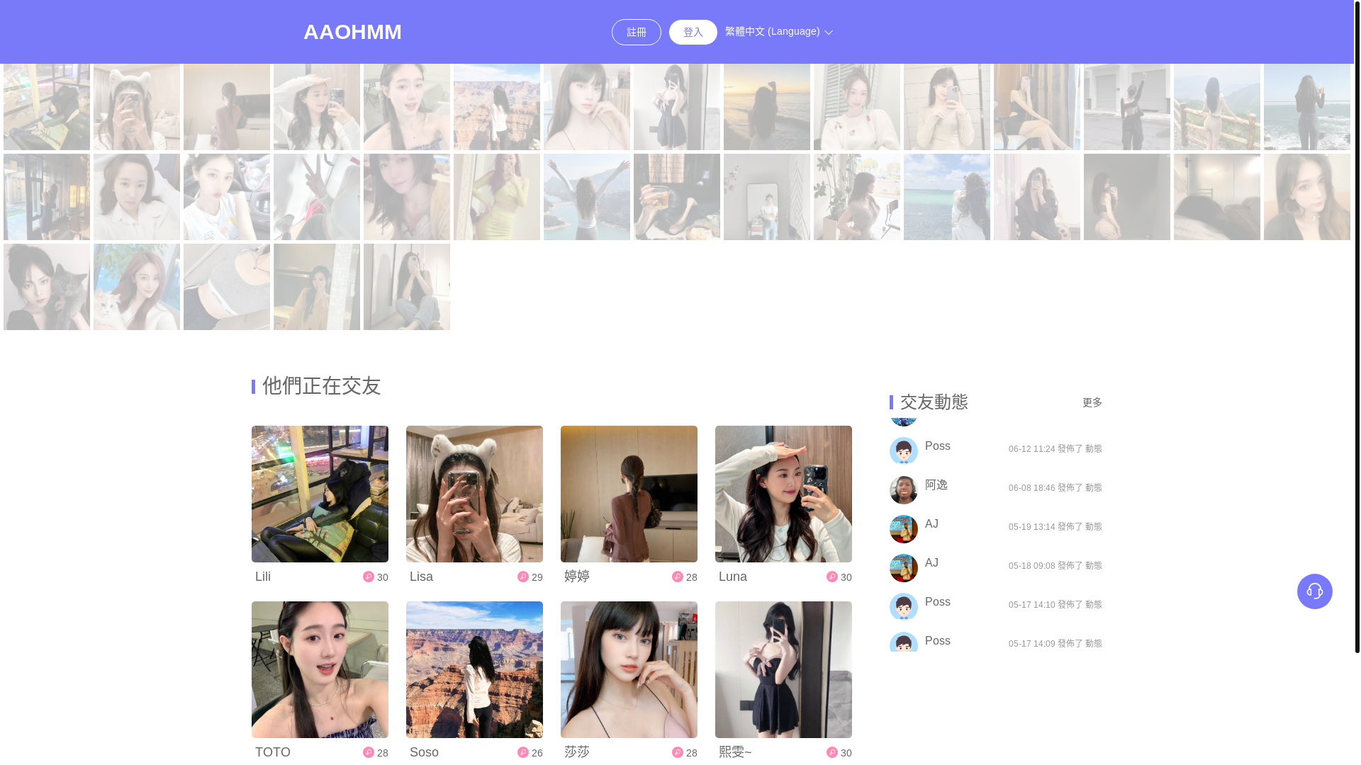 website screenshot of https://aaohmm.com/