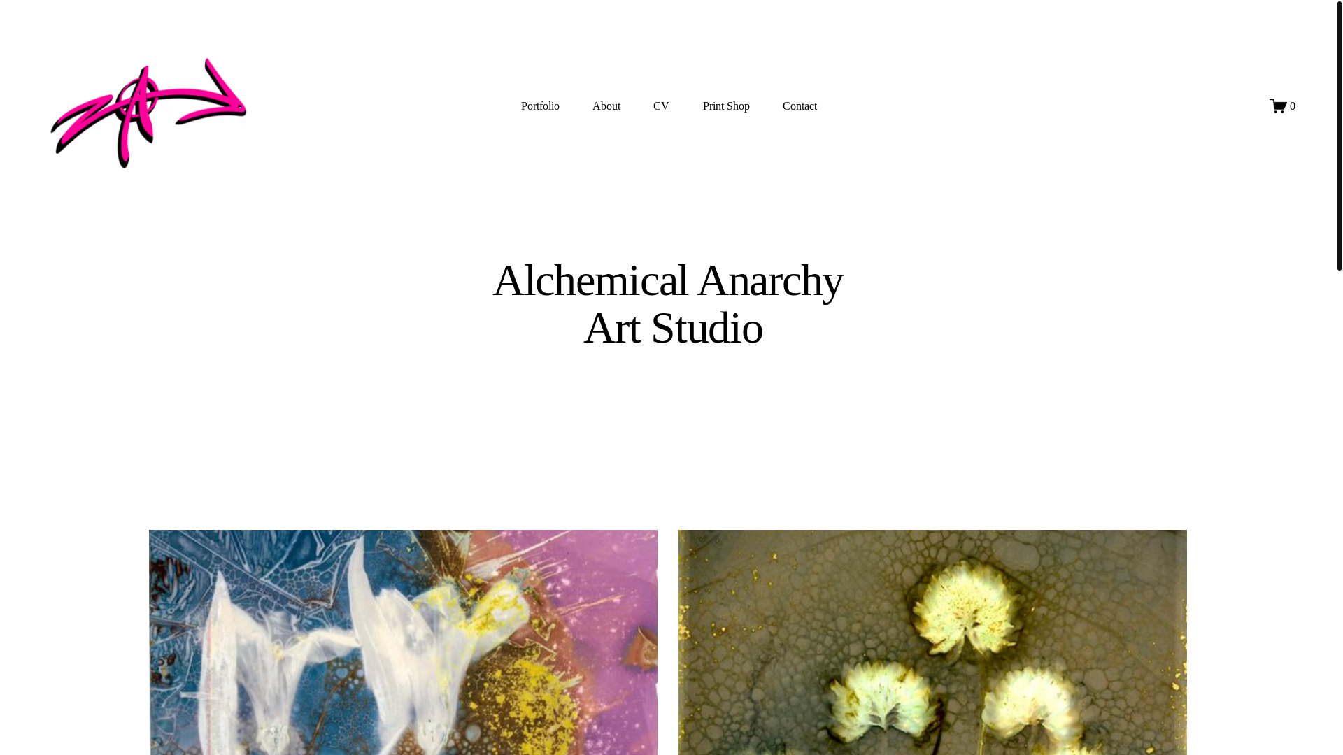 website screenshot of https://alchemical-anarchy.com/