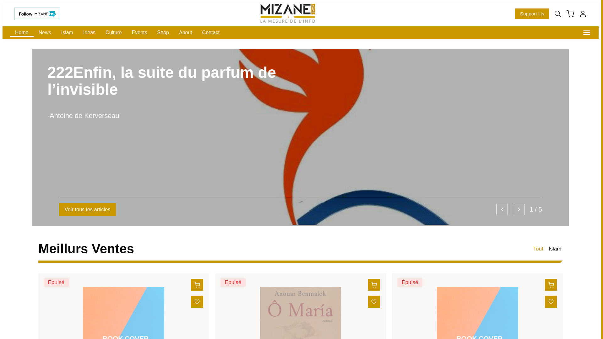 website screenshot of https://mizane-shop-website.pages.dev/
