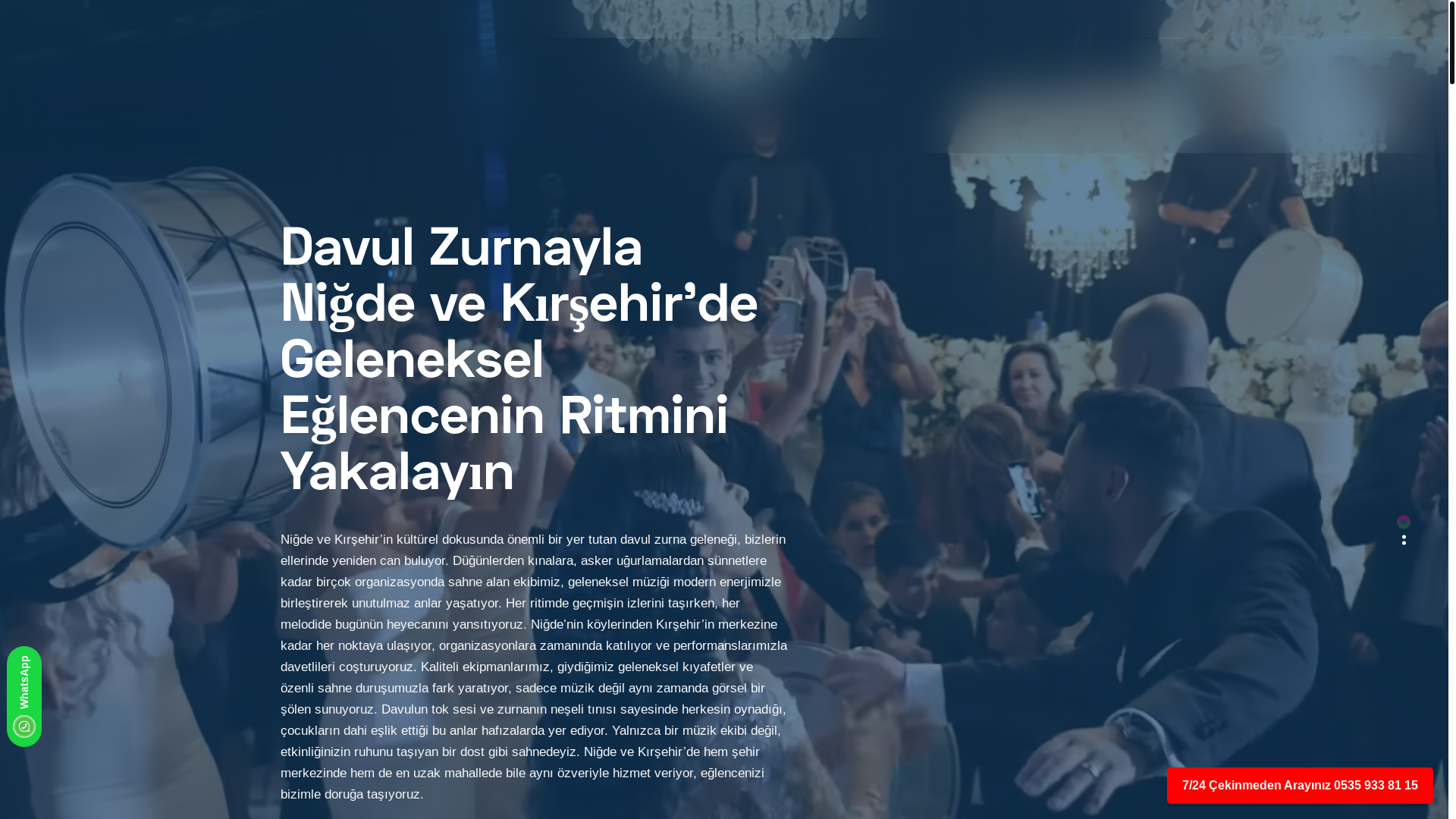 website screenshot of https://davulvezurnaekibikirala.com.tr/