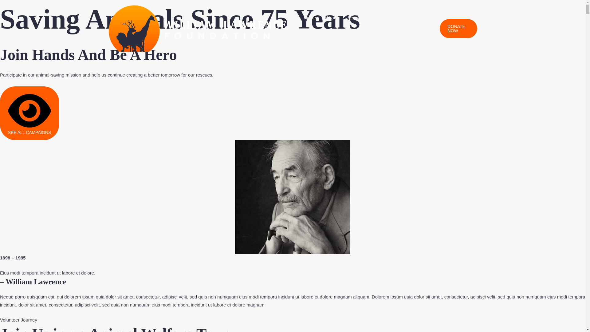 website screenshot of https://aimreaction.io/