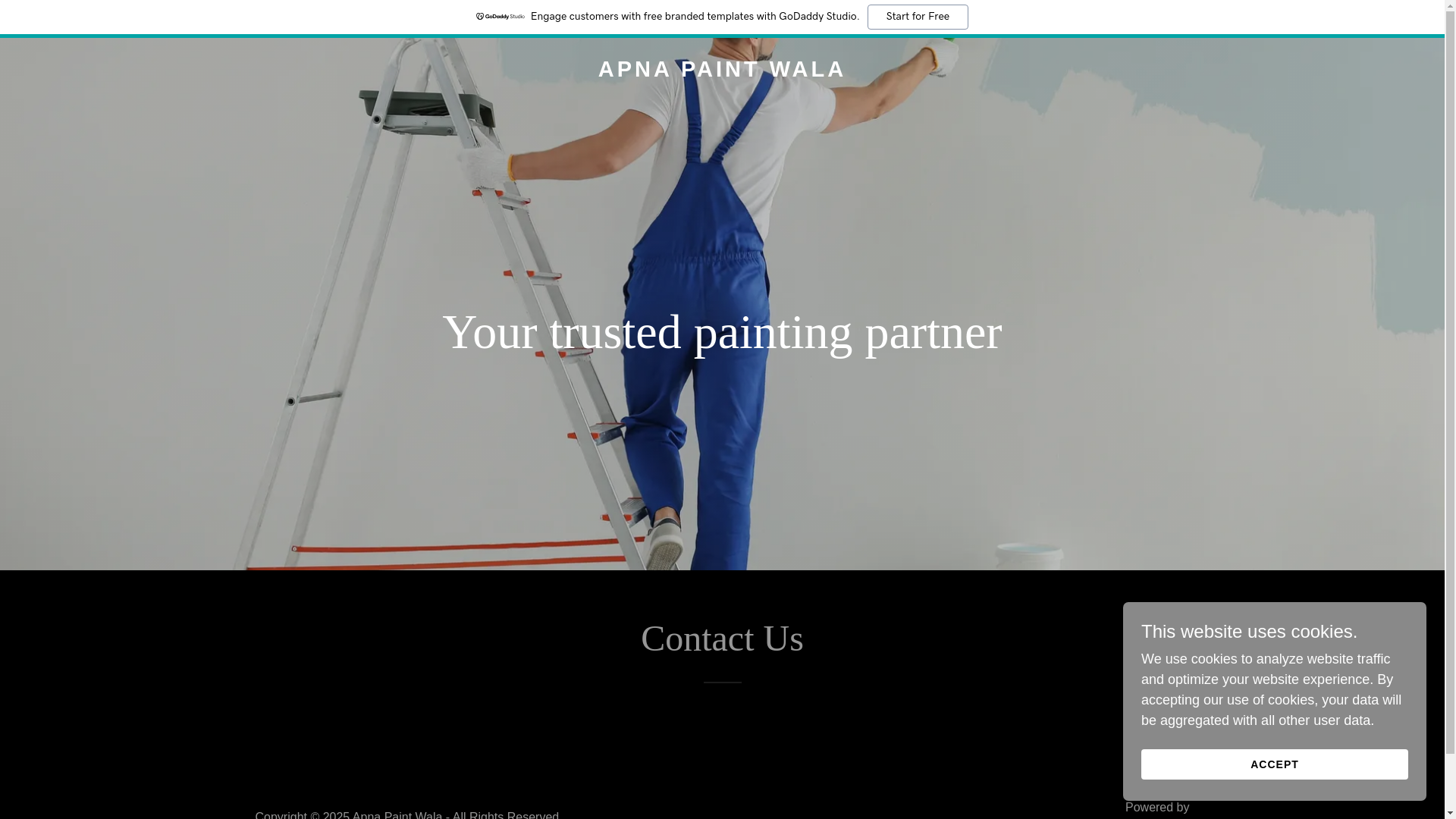 website screenshot of https://apnapaintwala.com/