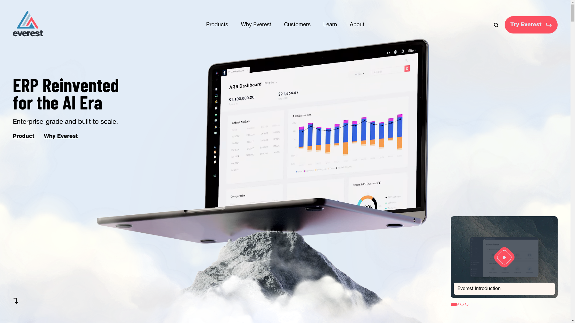 website screenshot of https://teameverest-systems.com/