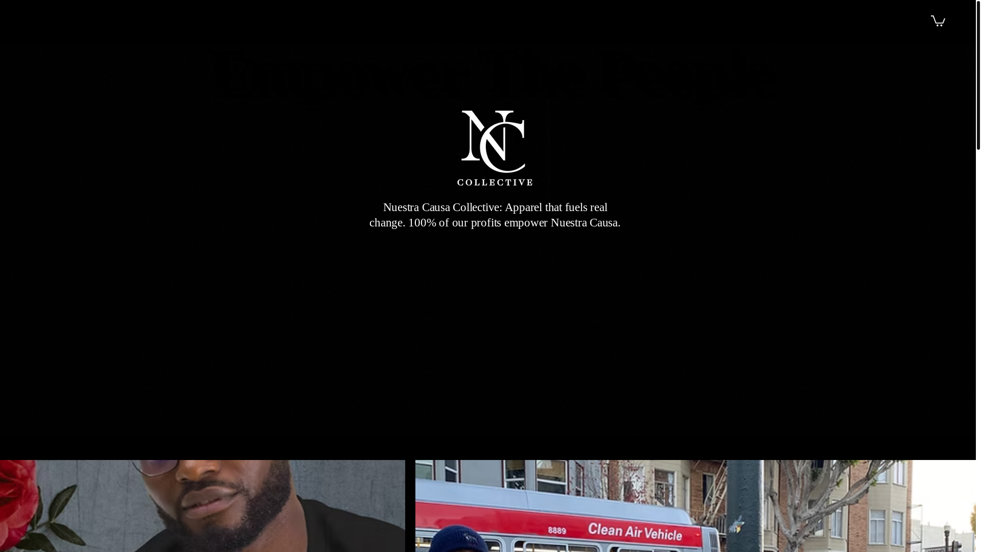 website screenshot of https://nccollective.shop/