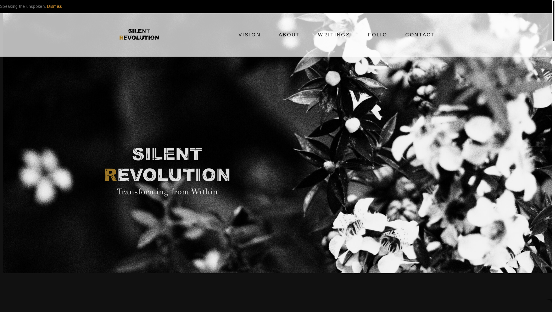 website screenshot of https://hollowvessel.au/