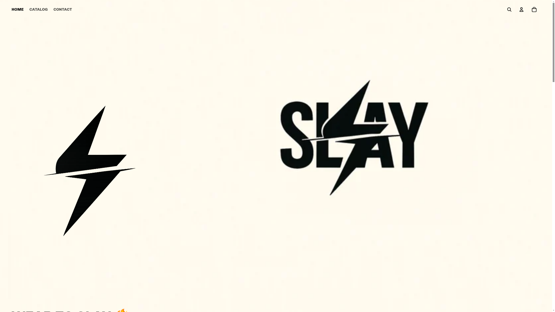 website screenshot of https://slayindia.co/